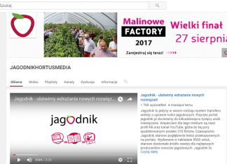 Jagodnik.pl na Youtube – już ponad 3,5 mln wyświetleń filmów