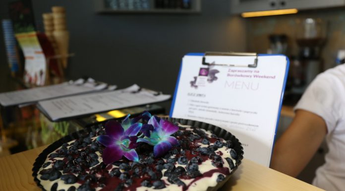 Borówkowy weekend w Krakowie trwa…