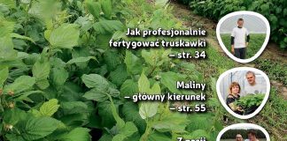 Jagodnik 6/2017 już w sprzedaży