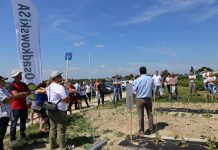 Dlaczego warto stosować nawóz Perlka w uprawie malin (półfinał Malinowe Factory 2017)