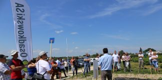 Dlaczego warto stosować nawóz Perlka w uprawie malin (półfinał Malinowe Factory 2017)