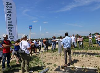 Dlaczego warto stosować nawóz Perlka w uprawie malin (półfinał Malinowe Factory 2017)
