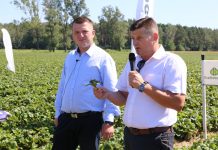 Sezon truskawkowy 2016/2017 – podsumowanie