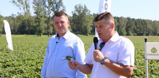 Sezon truskawkowy 2016/2017 – podsumowanie