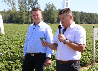 Sezon truskawkowy 2016/2017 – podsumowanie