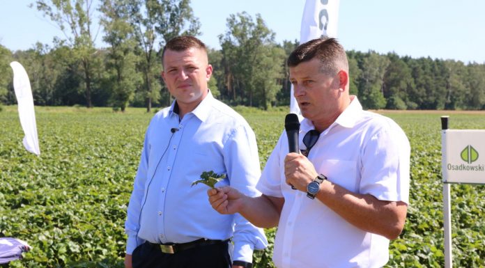 Sezon truskawkowy 2016/2017 – podsumowanie