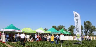 IV Letnie warsztaty Grupy Truskawkowej