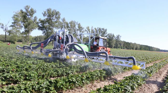 Ochrona truskawek – praktyczne zalecenia podczas Letnich warsztatów Grupy Truskawkowej