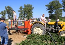 Maszyny do truskawek na Letnich warsztatach Grupy Truskawkowej