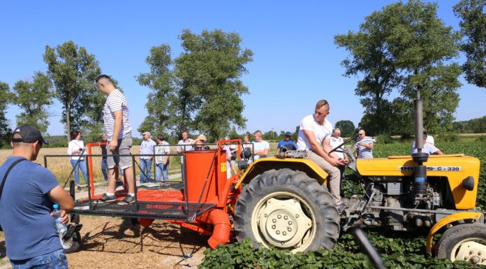Maszyny do truskawek na Letnich warsztatach Grupy Truskawkowej