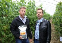 Praktycznie o stosowaniu preparatów mikrobiologicznych w uprawach sadowniczych