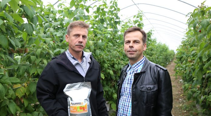 Praktycznie o stosowaniu preparatów mikrobiologicznych w uprawach sadowniczych