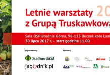 Letnie warsztaty Grupy Truskawkowej – już 30 lipca w Brodni Górnej koło Łasku