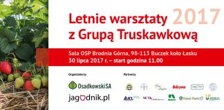 Letnie warsztaty Grupy Truskawkowej – już 30 lipca w Brodni Górnej koło Łasku