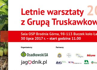 Letnie warsztaty Grupy Truskawkowej – już 30 lipca w Brodni Górnej koło Łasku