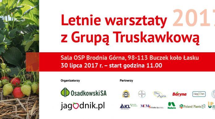 Letnie warsztaty Grupy Truskawkowej – już 30 lipca w Brodni Górnej koło Łasku