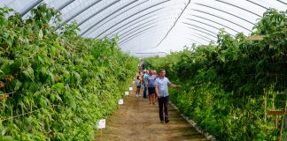 Finał Malinowego Factory 2017