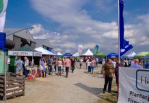 Wielki finał Malinowego Factory 2017 (cz. I)