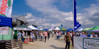 Wielki finał Malinowego Factory 2017 (cz. I)