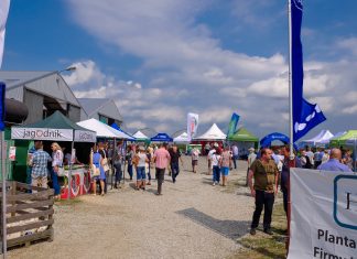 Wielki finał Malinowego Factory 2017 (cz. I)
