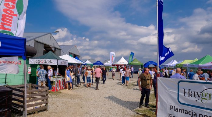 Wielki finał Malinowego Factory 2017 (cz. I)