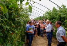 „Maliniaki Chodelskie” 2018 (cz. II)