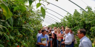 „Maliniaki Chodelskie” 2018 (cz. II)