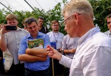 Trendy w uprawie malin – FILM