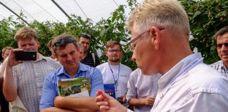 Trendy w uprawie malin – FILM