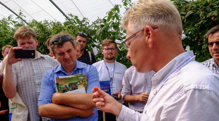 Trendy w uprawie malin – FILM