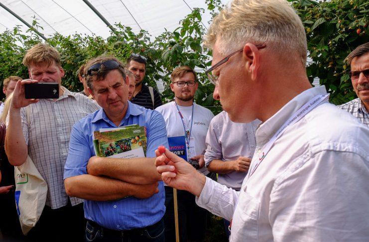 Trendy w uprawie malin – FILM