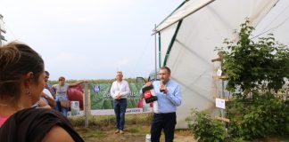 Dla poprawy jakości owoców maliny