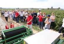 Wielki finał Malinowego Factory 2017 (cz. II)