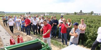 Wielki finał Malinowego Factory 2017 (cz. II)