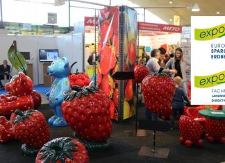 Targi expoSE & expoDirekt 2023 już za mniej niż półtora miesiąca!