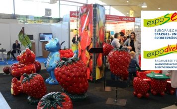 Targi expoSE & expoDirekt 2023 już za mniej niż półtora miesiąca!