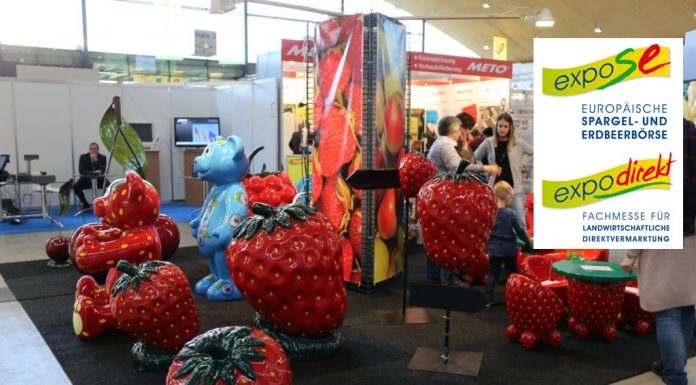 ExpoSE i ExpoDirekt 2017