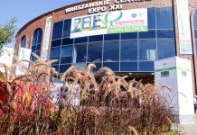 Po sadzonki na Zieleń to Życie!