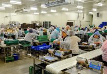 Czas na dywersyfikację geograficzną eksportu