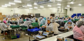 Czas na dywersyfikację geograficzną eksportu