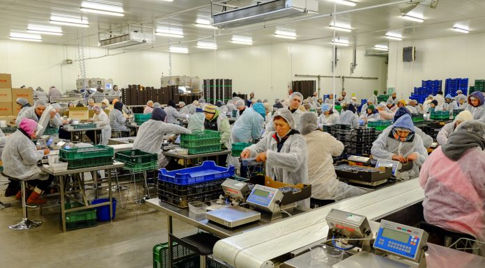 Czas na dywersyfikację geograficzną eksportu