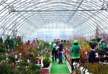 Wystawa B2B – Szkółkarski Show Room