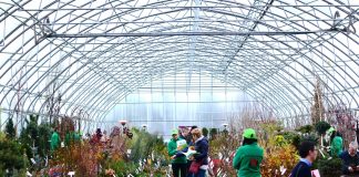 Wystawa B2B – Szkółkarski Show Room