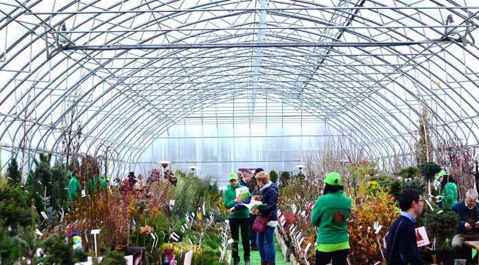 Wystawa B2B – Szkółkarski Show Room