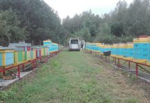 Ostatnie prace przed zimą w pasiece (cz. 2)