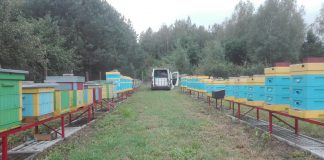 Ostatnie prace przed zimą w pasiece (cz. 2)