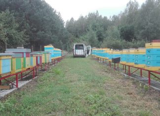 Ostatnie prace przed zimą w pasiece (cz. 2)