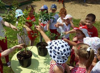 Skąd się biorą borówki? – warsztaty edukacyjne Fundacji Promocji Polskiej Borówki