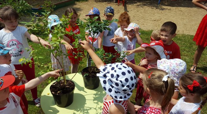 Skąd się biorą borówki? – warsztaty edukacyjne Fundacji Promocji Polskiej Borówki