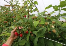 Jakość jest w cenie…